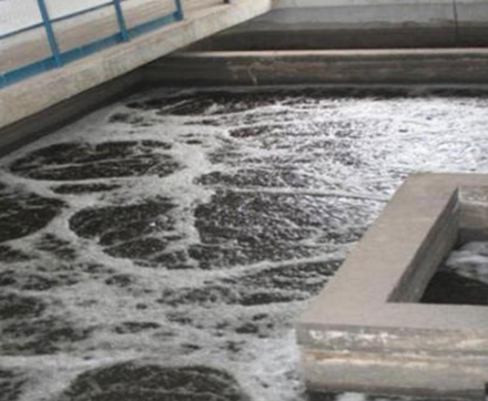 保山市龍陵縣舊城改造生活污水處理項目